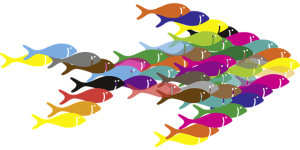 Pedro Biedma Jurado Marketing